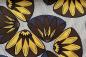 Preview: Afrikanischer Waxprint FLOWERS